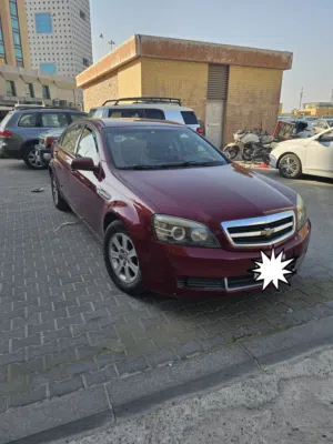 للبيع شفر كابرس
