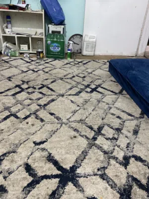 مشاركة سكن