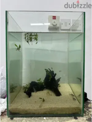 aquarium 20omr for sale
