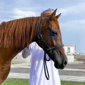 ALMAAWALI 