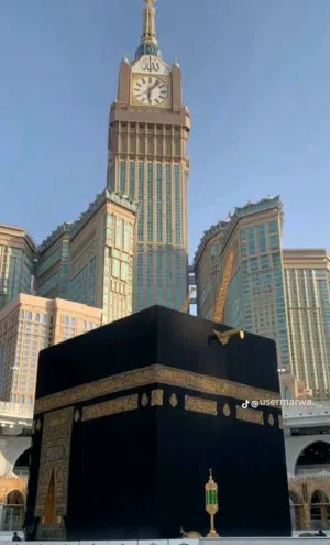 عبدالخالق المحوص 