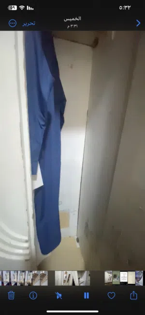 كنتور ايطالي