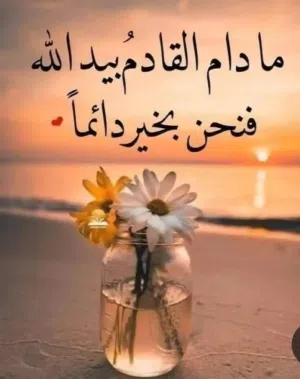 Menna Hussein 
