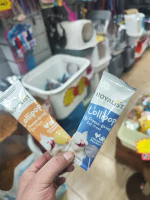 مصاص قطط تدوم لاكثر من 3 ايام