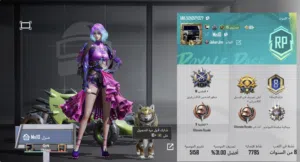 Pubg Accounts and Characters for Sale in Buraimi