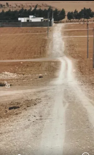 Residential Land for Sale in Amman Al-Dhuheibah Al-Gharbiyah