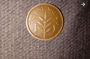 ‏نوادر‏0