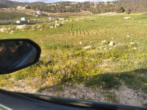 Farm Land for Sale in Jerash Other