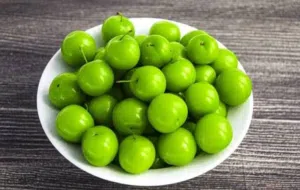 البرقوق لذیذ