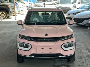 DONGFENG NANO BOX EX1 EX 1 2023
