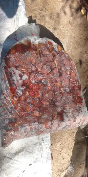 للبيع تمر نظيف نوع خلاص وزبد لسنه 2025