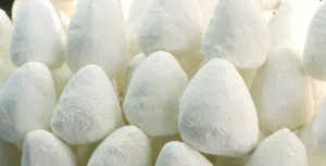 وصي جميد وسمن "من قلب البادية الأردنية.. لقلب بيتكم" Jameed and ghee, as recommended.