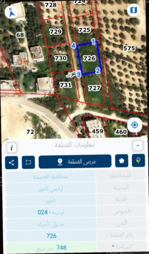 Residential Land for Sale in Amman Naour