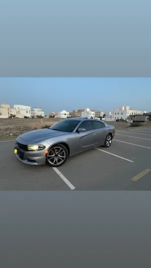 Used Dodge Charger in Muscat