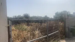 Farm Land for Sale in Qalqilya Jayus