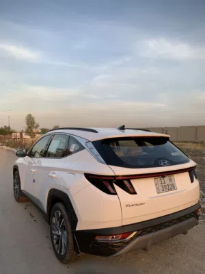 توسان 2024