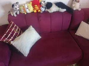 طقم كورنر 4 قطع 10 مقاعد نظيف جدا