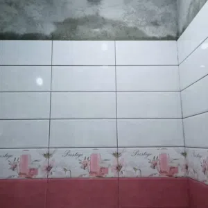 معلم بليط مصرى لتركيب جميع انواع البلاط والرخام بكافه انواعه وتركيب الدرج والشحف والمطابخ