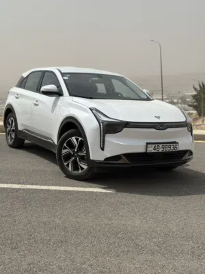 Neta U400 2023 لون ابيض بحالة ممتازه بطاريه 400km 92%SOH