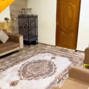 قنفات نص تخم