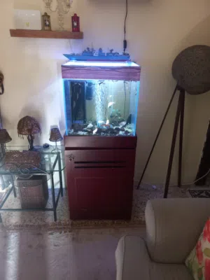حوض سمك كامل الأغراض مع سمك