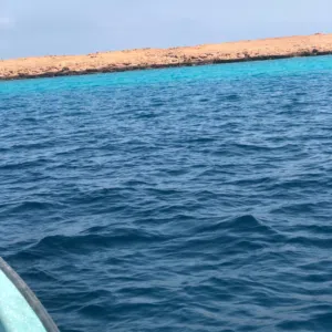 Ali ALhinai