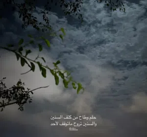 هيثم المنعي 