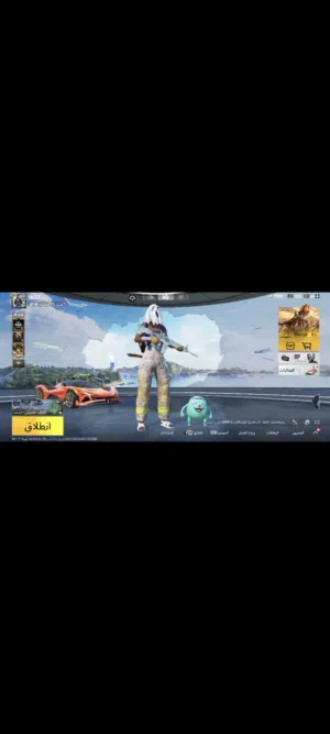 حساب ببجي مرتب