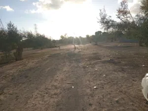 قطعه ارض  للبيع في جنزور الدوادي