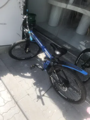 New professional bicycle
