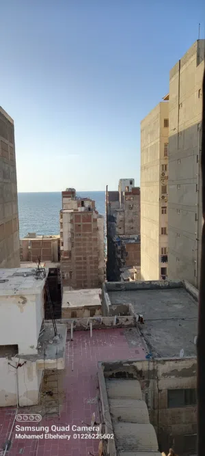 للبيع فى شارع بورسعيد برج شهير فى سبورتنج شقه 250م2 مبانى آخر تسعينات