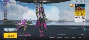 Pubg Accounts and Characters for Sale in Amman