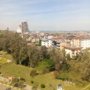 الربيعي الحسن