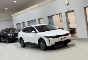 Kia K3 (32,000 Kms)