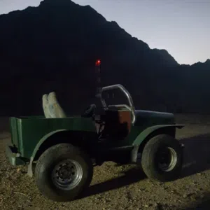 أبو الفتئ السعيدي 