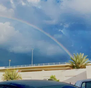 al taher 