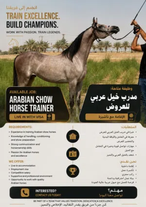 Show horse trainer wanted