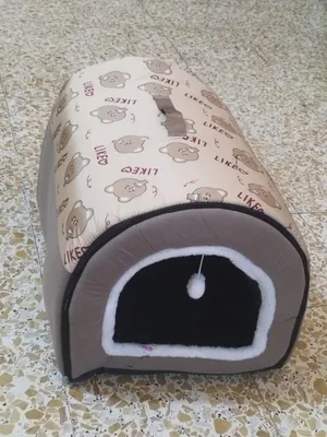 Accessories . Cats0