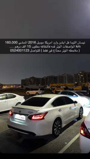 التيما نظيف 2016