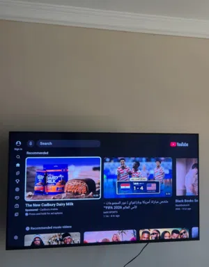 SONY BRAVIA 55 inch Full Array LED Google Smart Tv