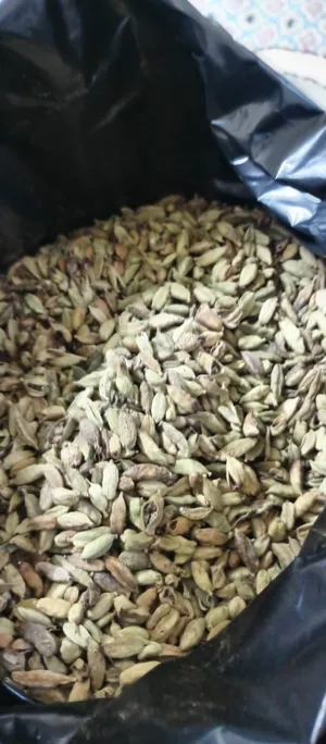 Others - Food - Supplements2