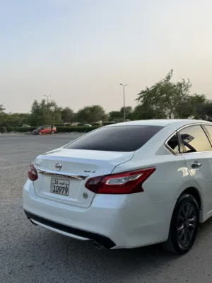 التيما 2018