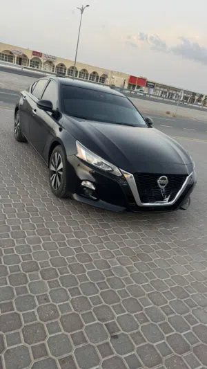 التيما 2019