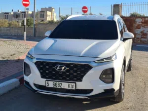 2019 (Hyundai Santafe (4*4
