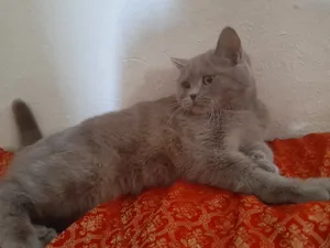 ‏أخرى‏0