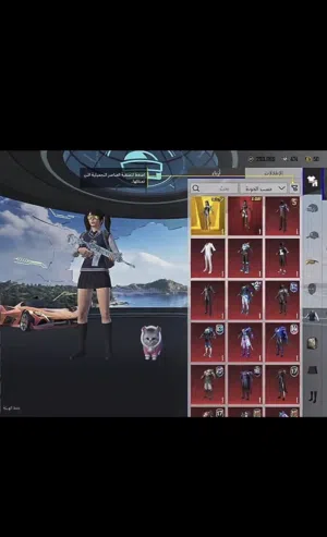 Pubg Accounts and Characters for Sale in Al Sharqiya