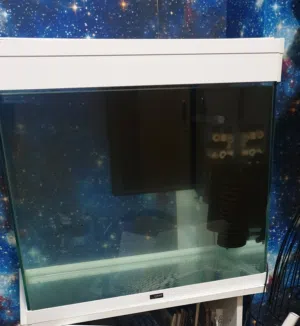 حوض سمك كبير زجاجي، big glass fish aquarium