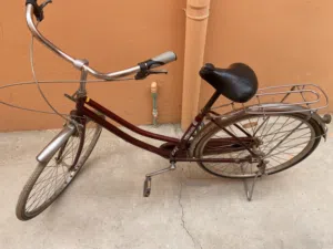 سيكل للبيع