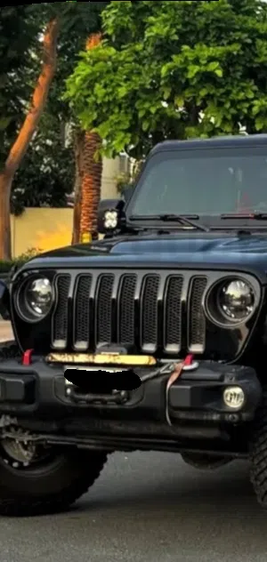 Jeep Wrangler 2023 Grill
