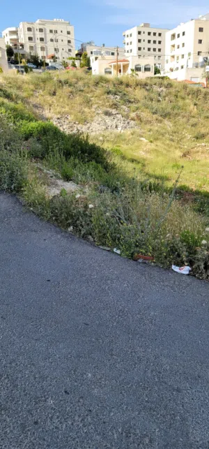 Residential Land for Sale in Amman Tabarboor